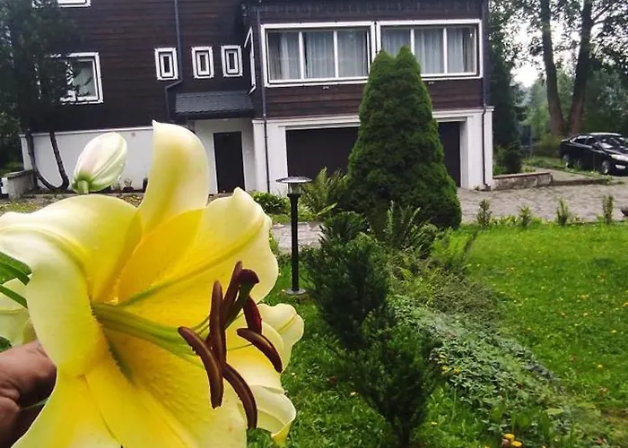 Bed & Breakfast Klonowa